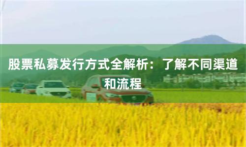股票私募发行方式全解析：了解不同渠道和流程