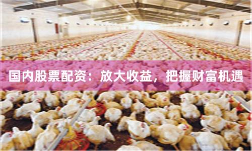 国内股票配资：放大收益，把握财富机遇