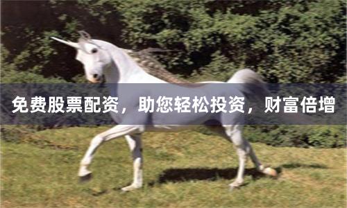 免费股票配资，助您轻松投资，财富倍增